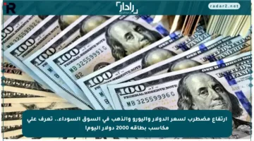 ارتفاع مضطرب لسعر الدولار واليورو والذهب في السوق السوداء.. تعرف على مكاسب بطاقة 2000 دولار اليوم!